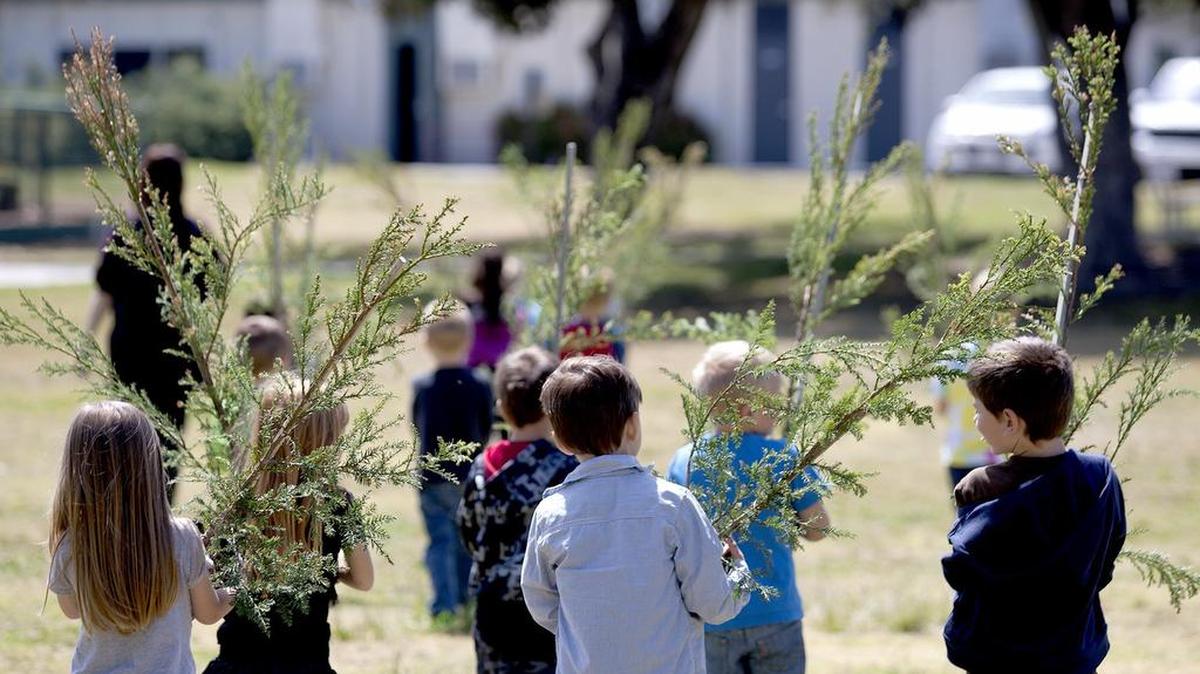Preschool and kindergarten children from various local schools attended a tree planting April 29 at Arroyo Grande’s Elm Street Park in honor of Arbor Day. Each of the students received a small tree to take home.