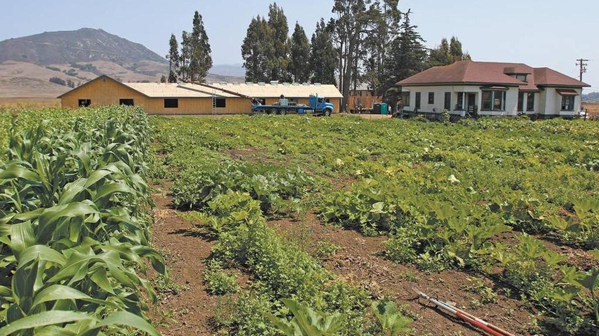 Dan DeVaul built a sober-living facility on his Sunny Acres property in 2015. He said he’s been unable to get potable water to the building due to problems in the permitting process.