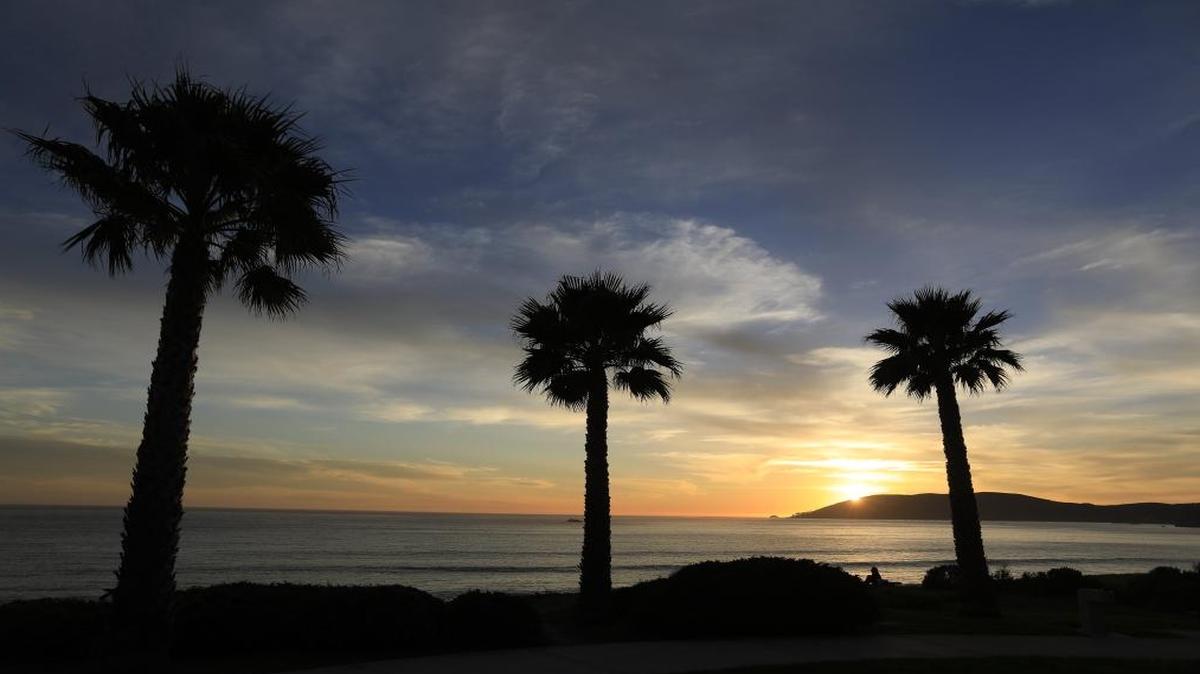 Shell Beach.