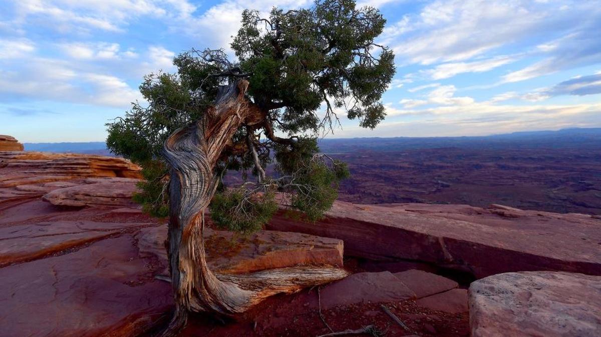 Bears Ears National Monument, seen from the Canyon Rims Recreation Area in Utah.