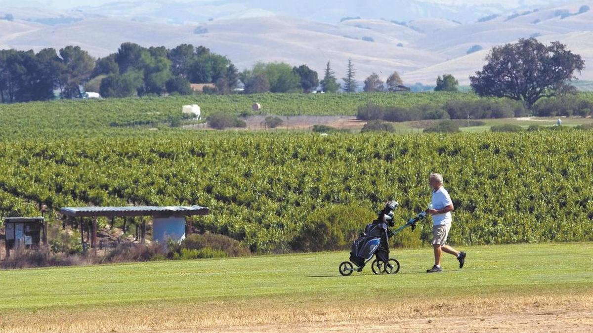 A vineyard and golf course in Paso Robles in 2013.