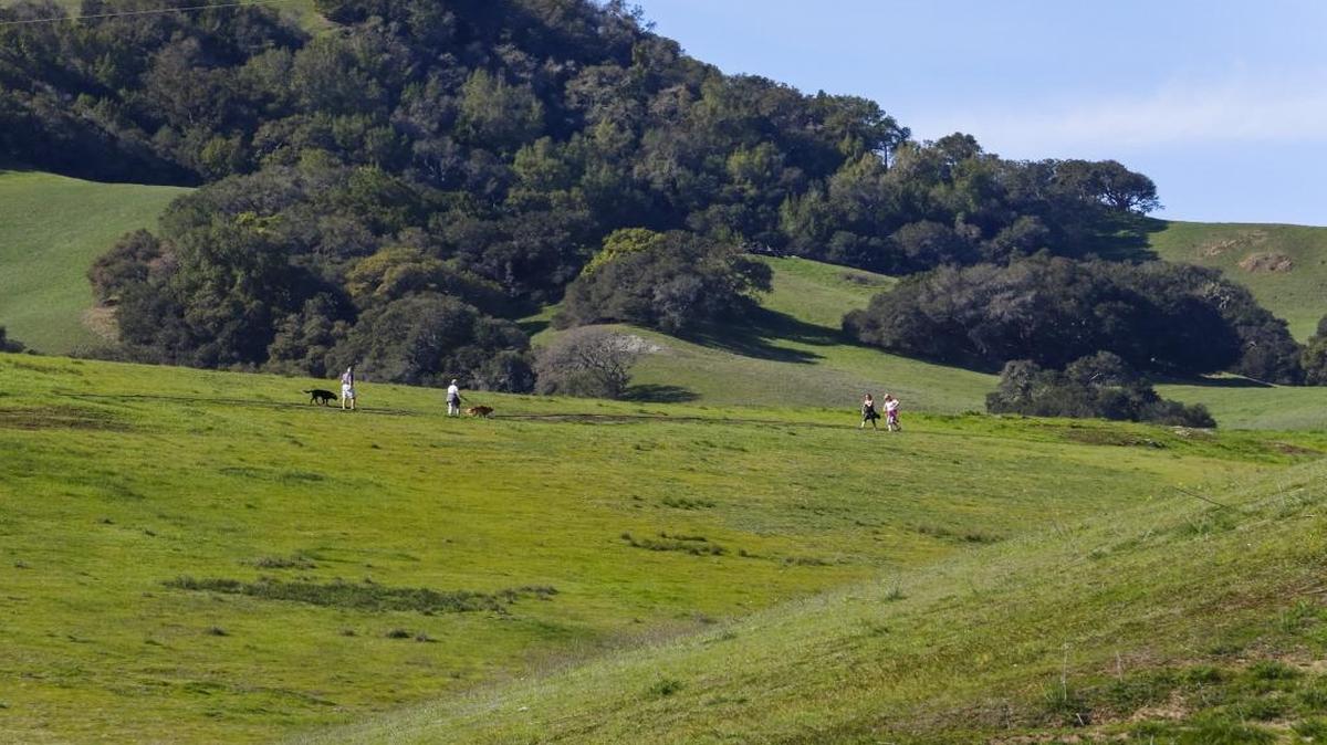 Hikers stroll along the green hills of the Johnson Ranch Open Space in San Luis Obispo.