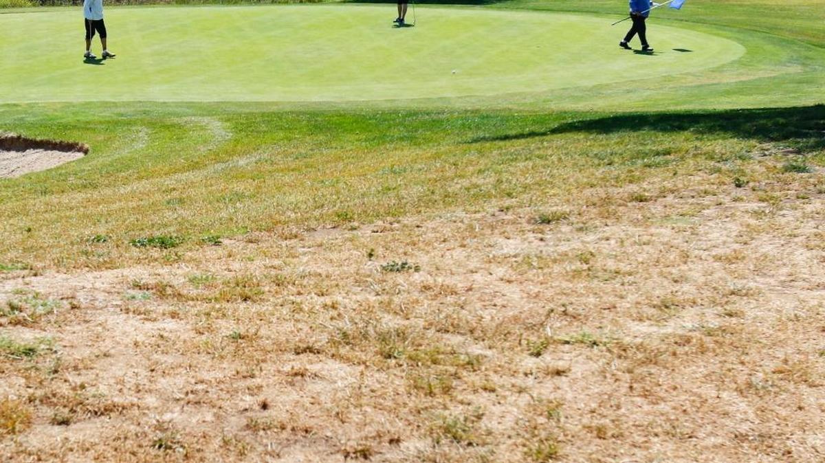 Tanny Koeppel, Louise McCoy and Mary Pollock, (from left) on the 11th green at Dairy Creek. The golf course is seeing less water delivered from treatment plant as the inmate count at CMC and water conservation measures at the prison take effect. Greens get water but other areas much less.