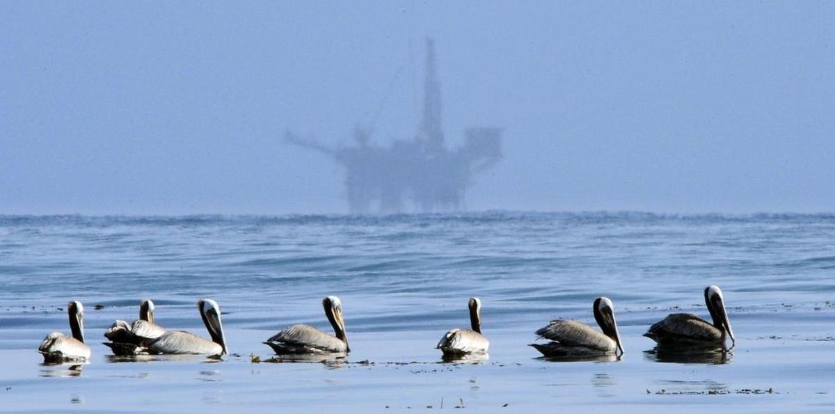 In this May 13, 2010, file photo, pelicans float on the water with an offshore oil platform in the background in the Santa Barbara Channel off the coast of Santa Barbara, Calif. ExxonMobil is proposing to restart oil production at three platforms that have been idle since the 2015 spill at Refugio State Beach.