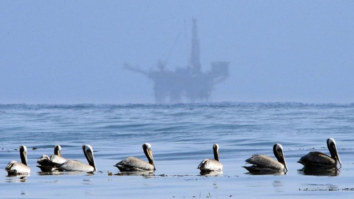 In this May 13, 2010, file photo, pelicans float on the water with an offshore oil platform in the background in the Santa Barbara Channel off the coast of Santa Barbara, Calif. ExxonMobil is proposing to restart oil production at three platforms that have been idle since the 2015 spill at Refugio State Beach.