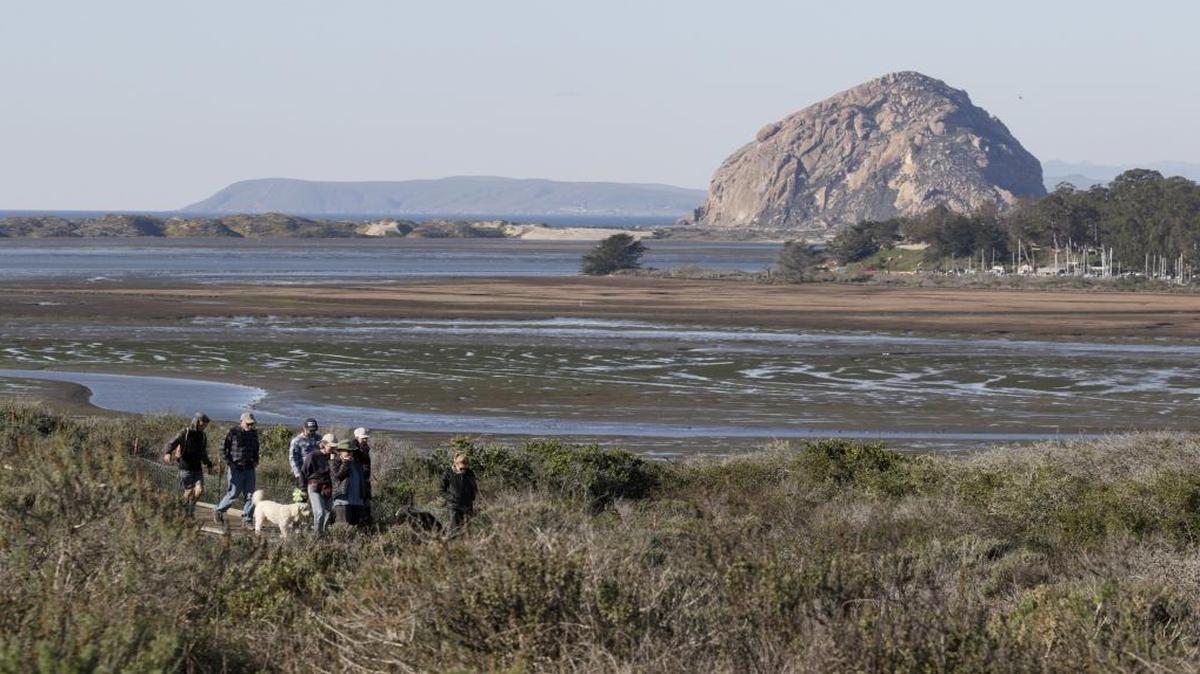 Hikers walk in the Elfin Forest in Los Osos with a view of Morro Rock in December 2016.