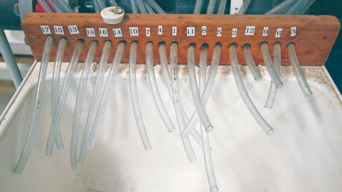 The tubes at the Morro Bay desalination plant are used to draw water samples from various units.