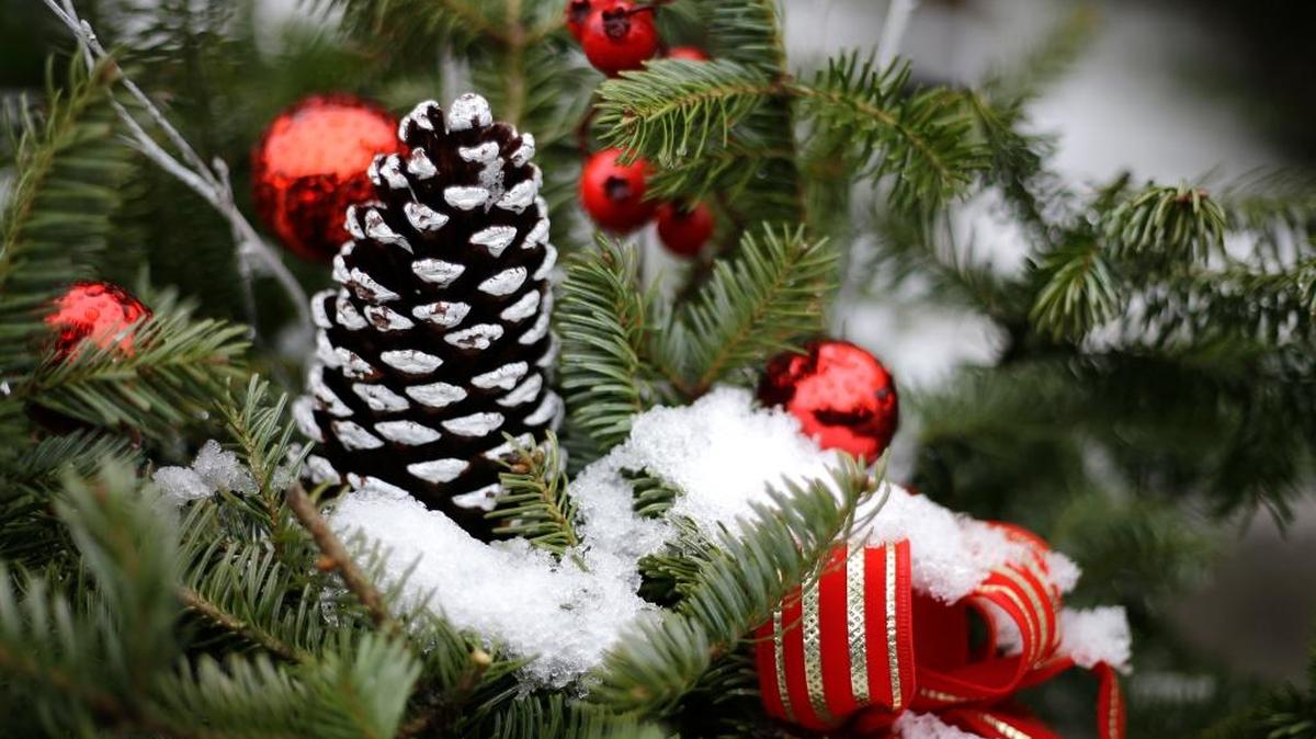 An outdoor display of Christmas greenery contains icy snow at Boston Hill Farm in North Andover, Mass.