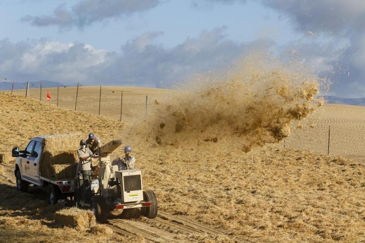 Shooting straw was the first step in a revegetation project on about 20 acres at the Oceano Dunes State Vehicle Recreation Area in 2018.