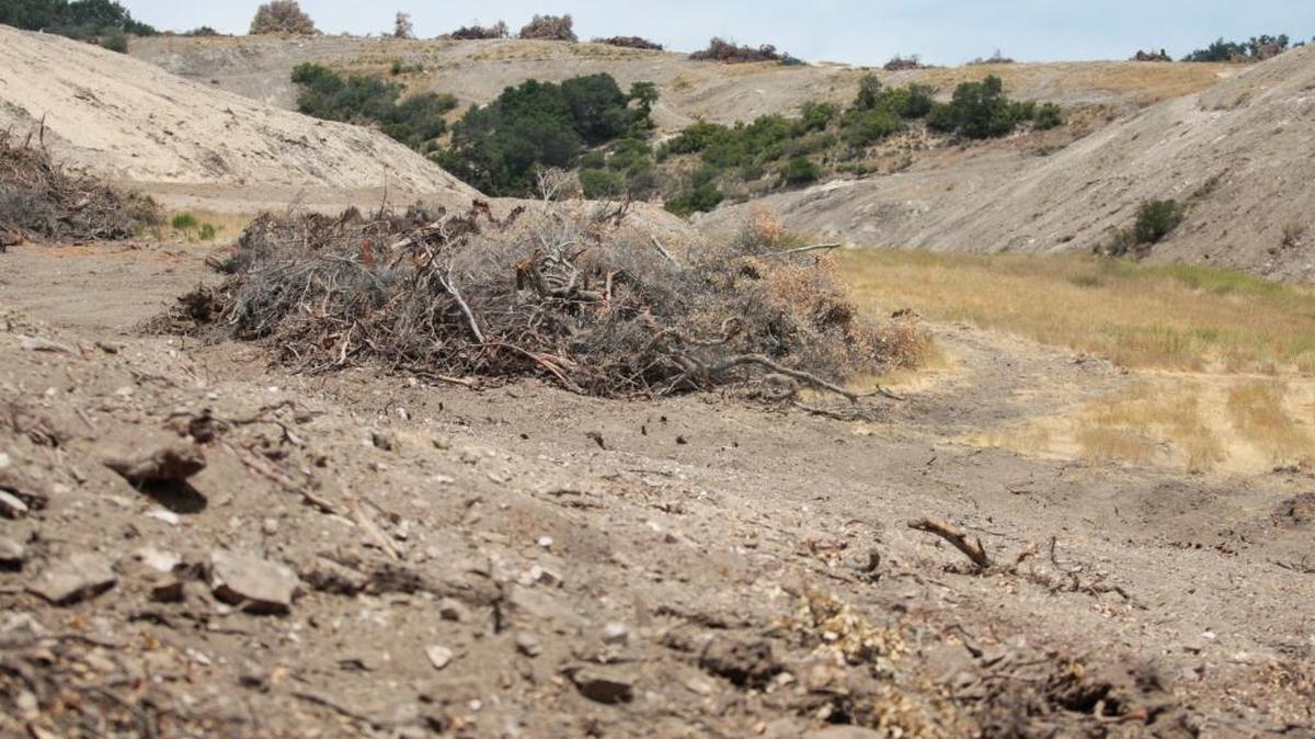 North County residents are concerned about a massive removal of oak trees making way for a vineyard. A stop-work order has been issued by the county to Estate Vineyards LLC. The property is north of Highway 46 West.