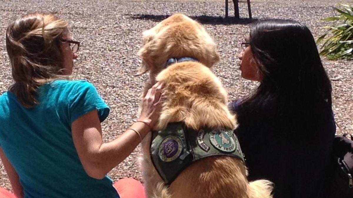 Therapy dog Toby sits with some Morro Bay High School students at lunchtime.