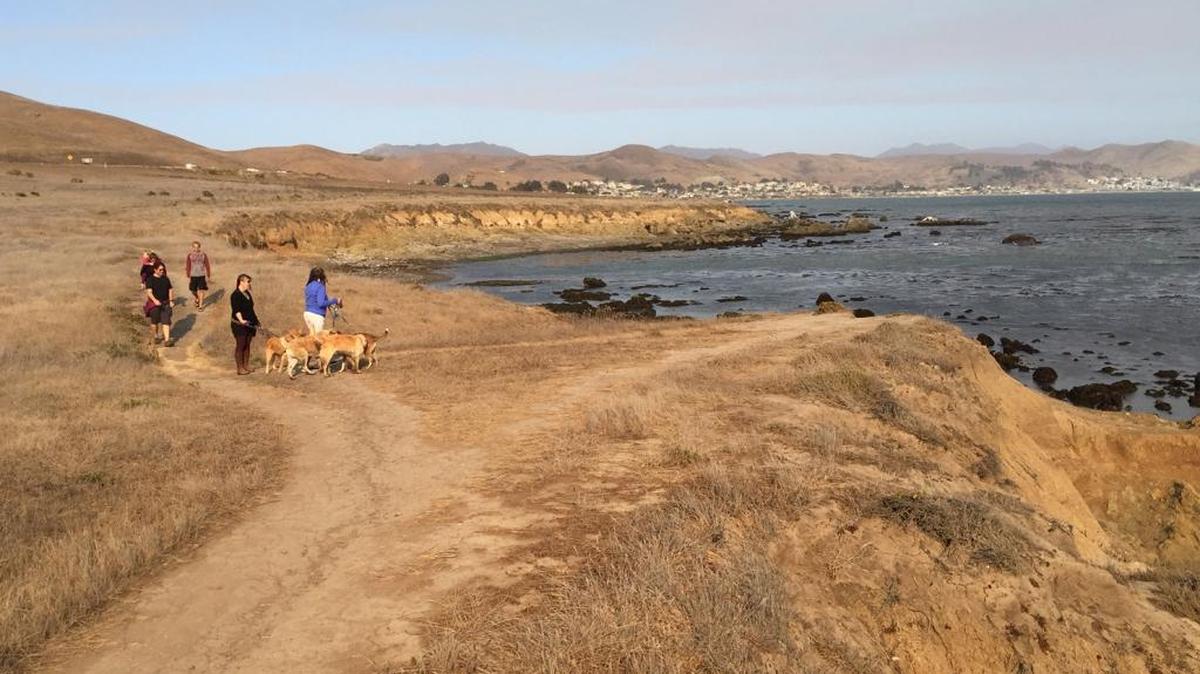 The trail at Estero Bluffs State Park meanders above the ocean with views all the way to Montaña de Oro State Park.