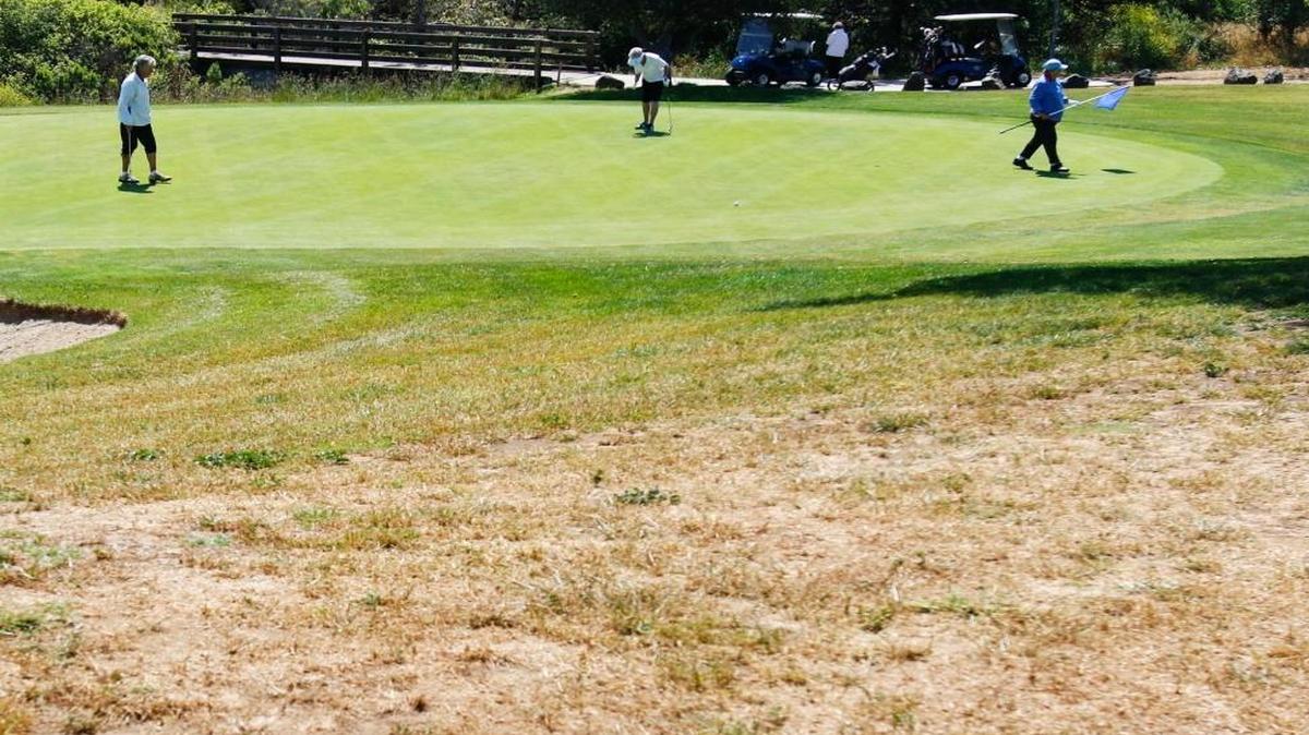 Tanny Koeppel, Louise McCoy and Mary Pollock, (from left) on the 11th green at Dairy Creek May 16. The golf course is seeing less water delivered from treatment plant as the inmate count at CMC and water conservation measures at the prison take effect. Greens get water but other areas much less.