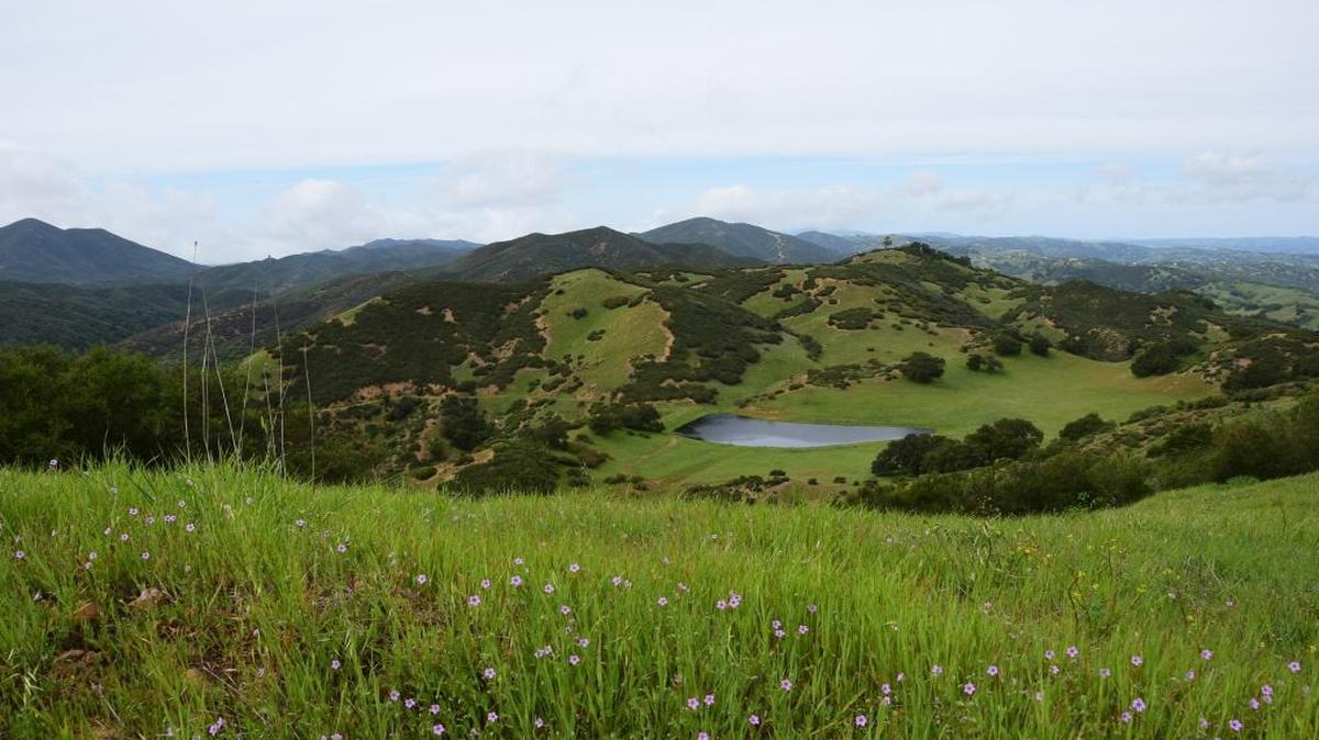 A view from Eagle Ranch near Atascadero.