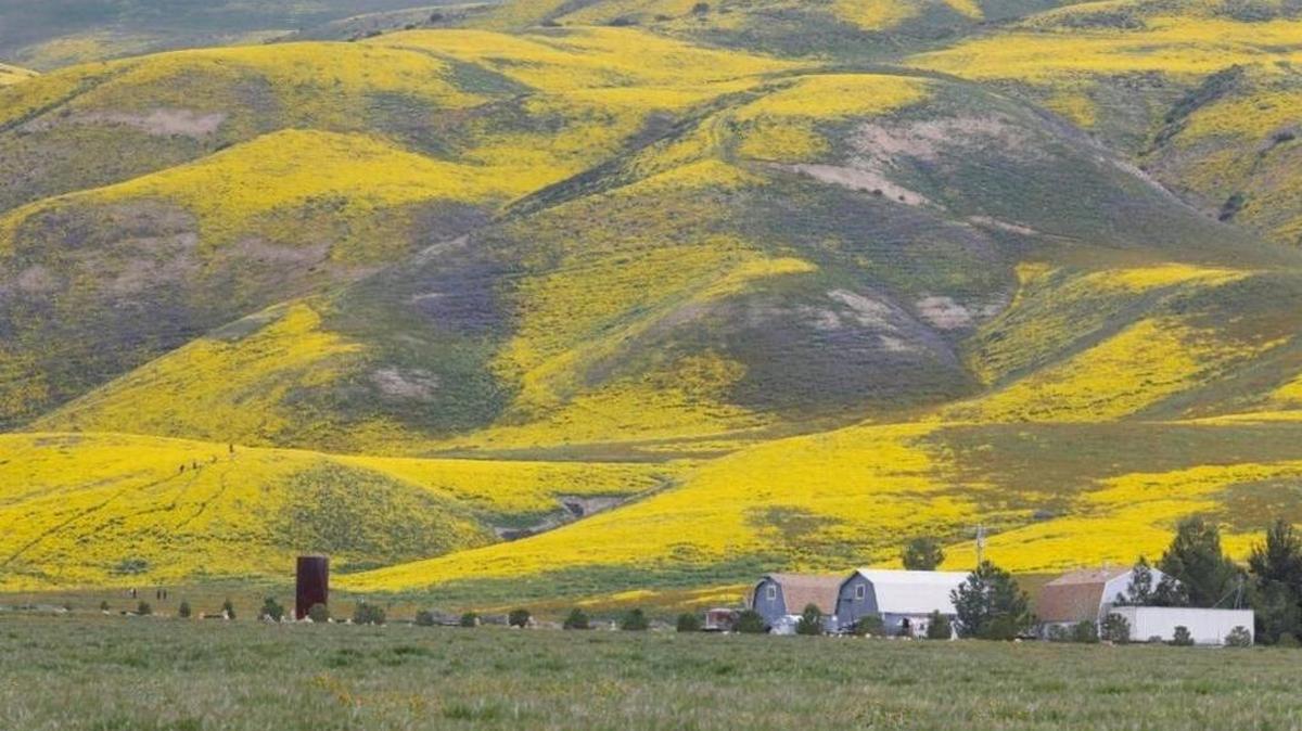 Carrizo Plain