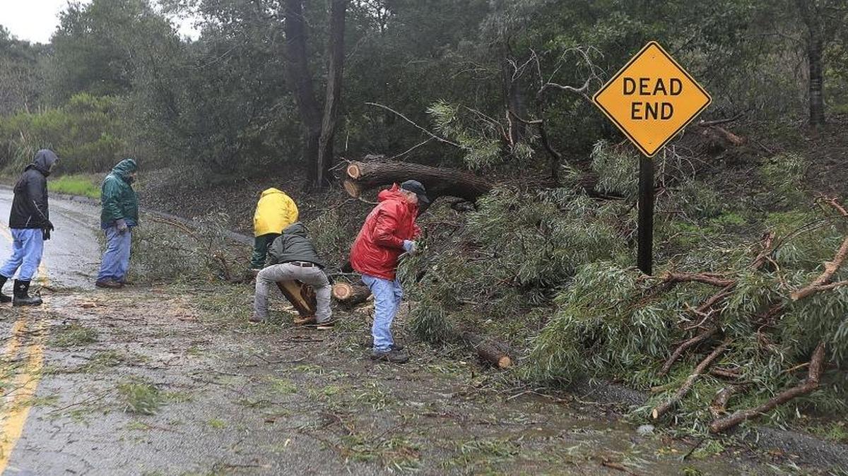 A windy storm slammed the Central Coast on Feb. 17, 2017, knocking down trees down in San Luis Obispo, causing flooding in Oceano and cutting off power in Shandon.