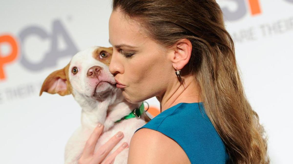 Actress Hilary Swank poses with a dog for adoption at the 18th Annual ASPCA Bergh Ball at the Plaza Hotel on Thursday, April 9, 2015, in New York.