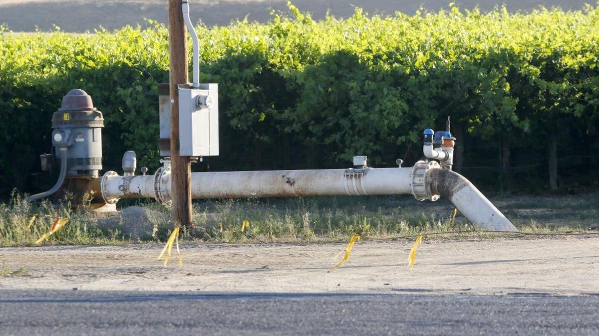 An electric powered well near Highway 41 near Shandon services a vineyard.