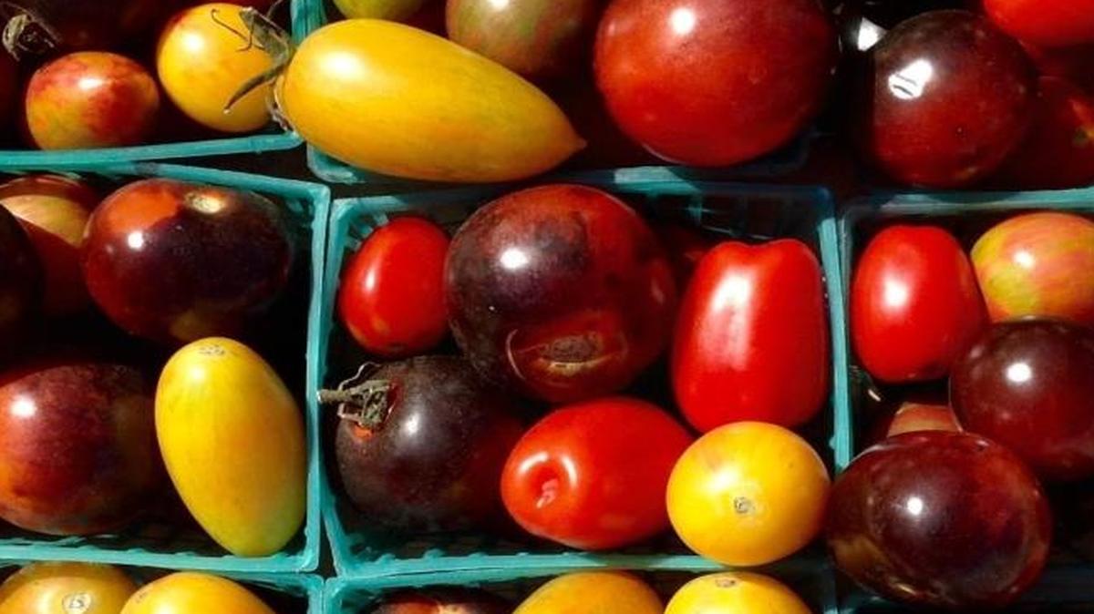 Heirloom tomatoes grown by SLO Grown Produce in Arroyo Grande.