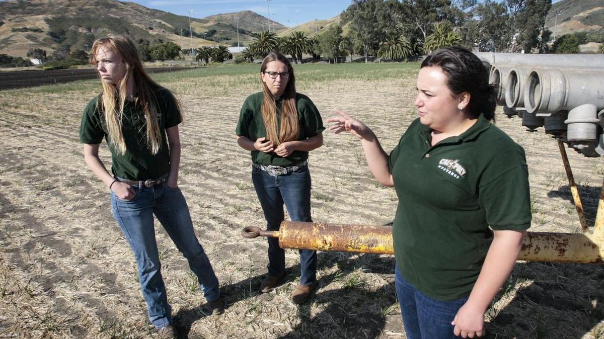 Cal Poly School of Agriculture students are not happy with long term plans to convert this ag fields into athletic fields. From the left: Amber LaSalle, Elizabeth Russell, Toni Silva.