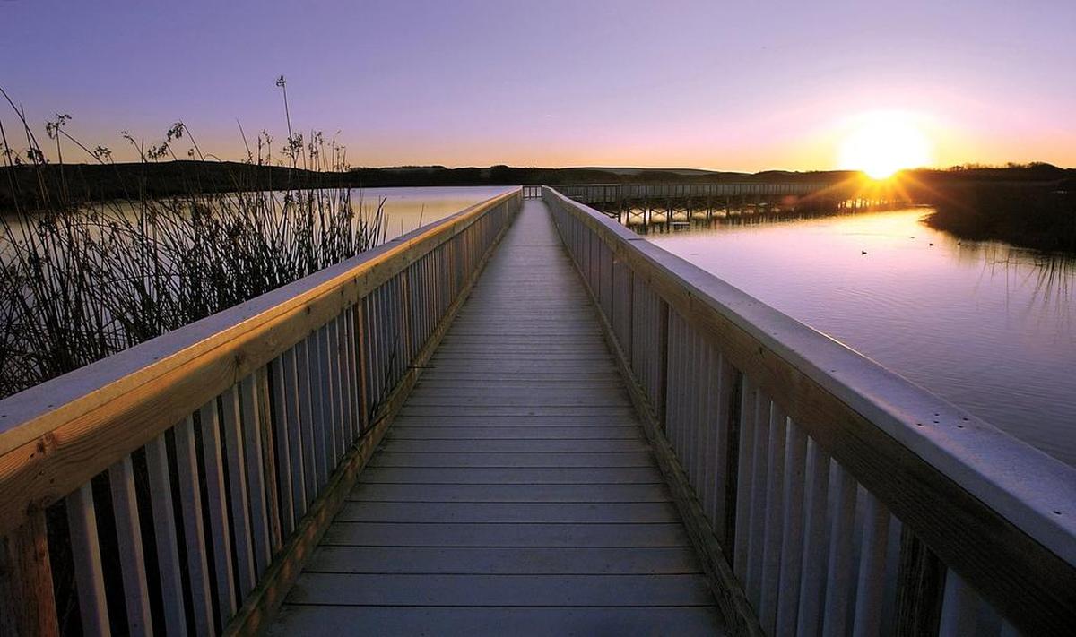 State Parks proposed major development of the Oso Flaco Lake area in South County.