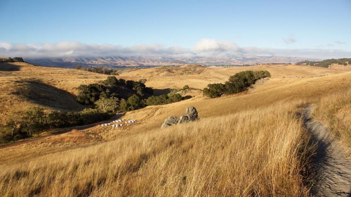 Johnson Ranch Open Space
