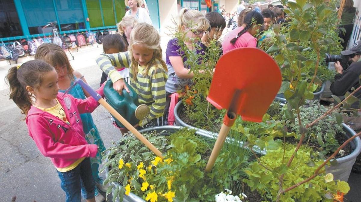 Students water plants at Harloe Elementary School in Arroyo Grande.