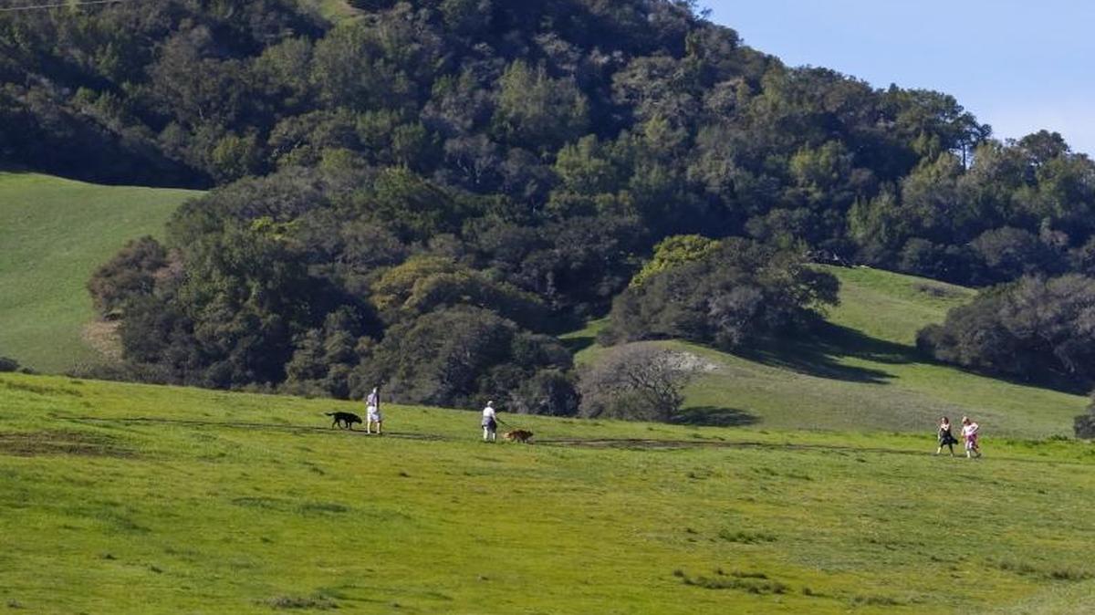 Hikers stroll in the green hills of the Johnson Ranch Open Space in San Luis Obispo in February 2016.