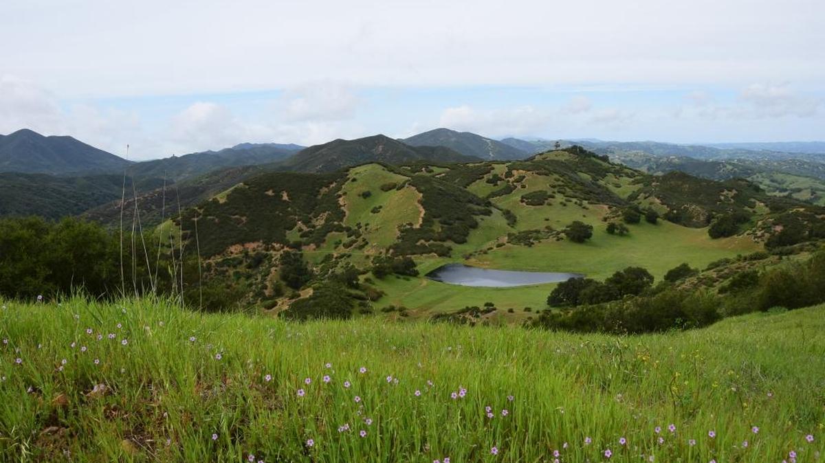 A view from a hill on Eagle Ranch near Atascadero looks down on the property’s man-made Eagle Lake.
