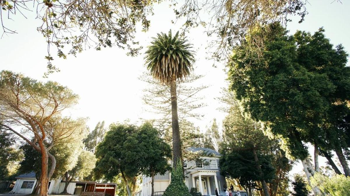 Residents are concerned about a proposed housing development at 71 Palomar Ave., the impact it would have on the neighborhood and on the trees at the property.