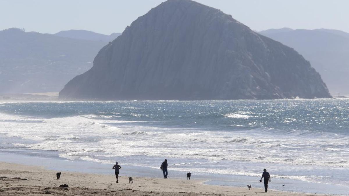 The Chumash tribe has not attempted to prohibit access to the area surrounding Morro Rock for ceremonial use by the Salinans, Tarren Collins writes.