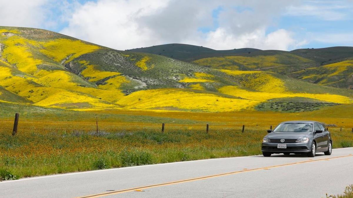 Highway 58 near Seven Mile Road, flowers cover the Temblor Range near Carrizo Plain.