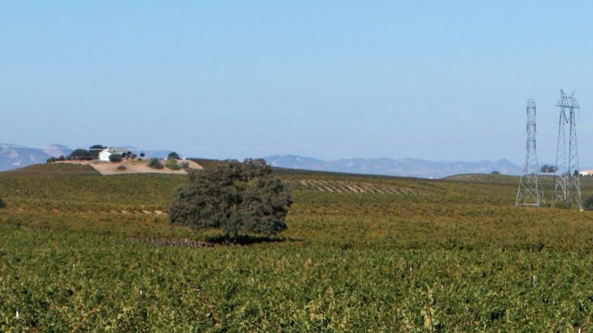 Paso Robles.