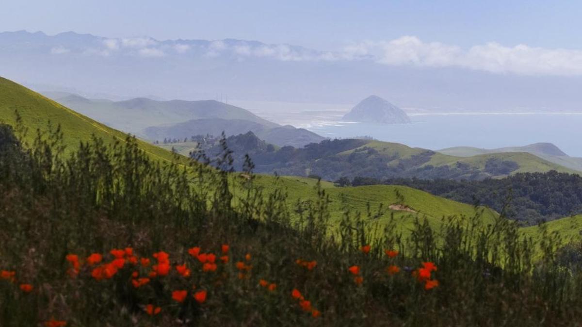 A view of Morro Rock seen from Highway 46.