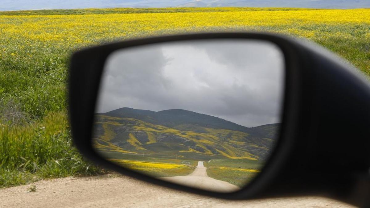 Carrizo Plain National Monument along Seven Mile Road in March.