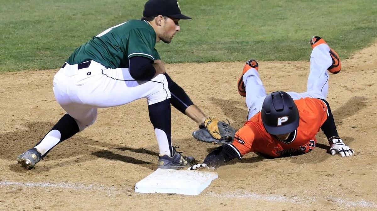 Cal Poly’s Brett Barbier (28) applies a close tag a little too late on Pacific’s Gio Brusa (19) at first base in a fourth inning play Saturday at Baggett Stadium.