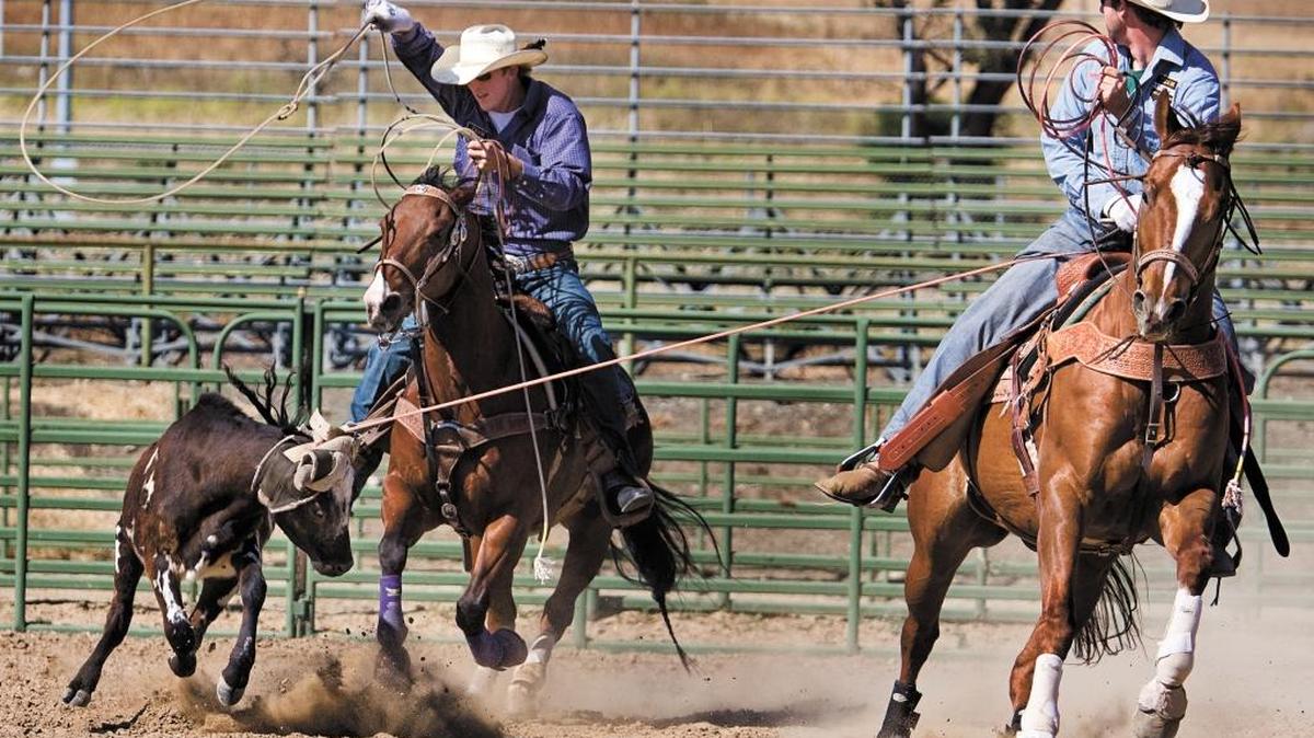 The 76th annual Poly Royal Rodeo returns this Friday and Saturday as part of Cal Poly’s Open House weekend.