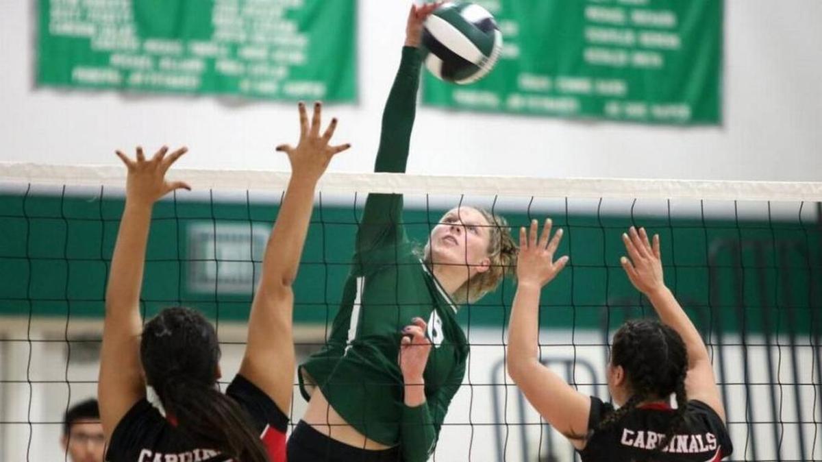 Templeton High School junior Lauren Reeves has been named The Tribune’s Girls Volleyball County Player of the Year.