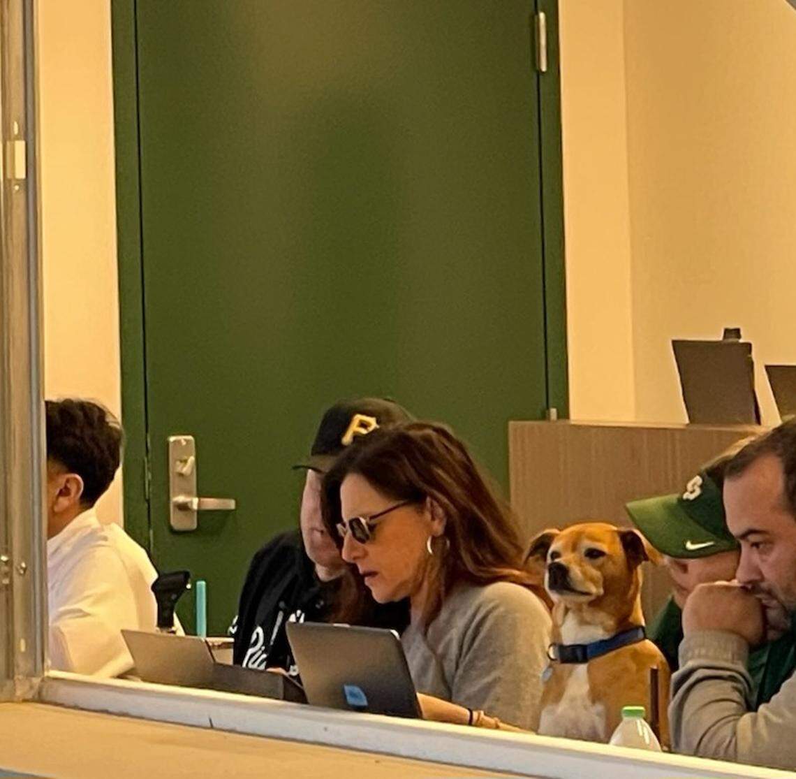C.J. Silas (middle with sunglasses) announcing at Cal Poly baseball.