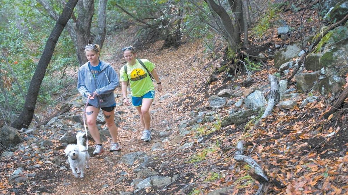 Katie Glines, left, and Grace Babcock hike Reservoir Canyon with Millie in 2013. A botanist-led 6-mile hike will be held Saturday to identify native plants.