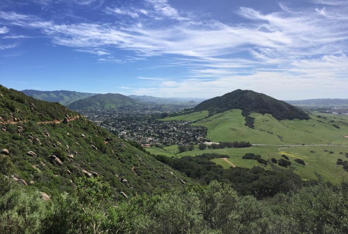 View from Bishop Peak in the spring looking out at Cerro San Luis (right) and San Luis Obispo.