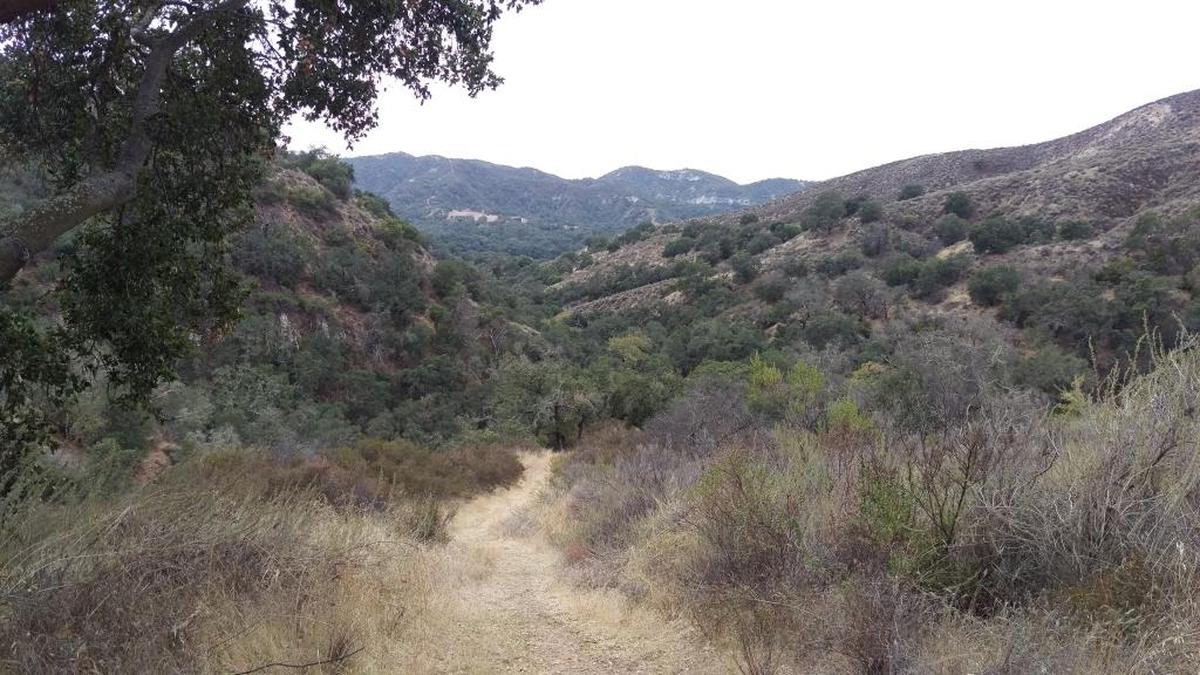 Hi Mountain Trail.