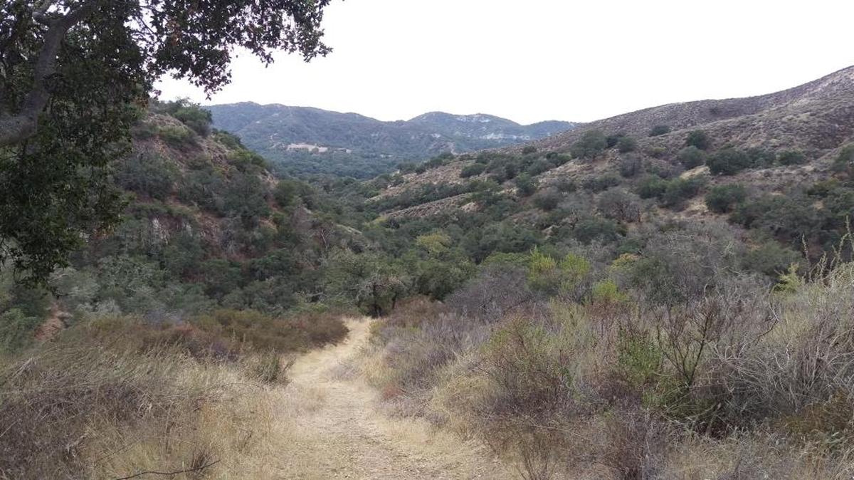 Hi Mountain Trail.