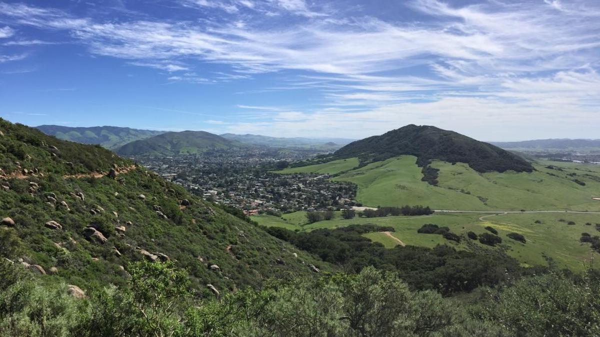 View from Bishop Peak in the spring looking out at Cerro San Luis (right) and San Luis Obispo.
