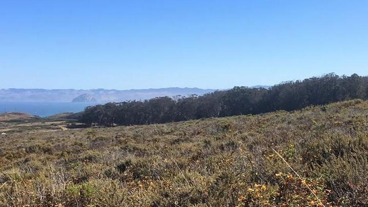 Despite the ominous name, the path to Hazard Peak in the midst of Montaña De Oro State Park is a quiet and relaxing hike. Stunning views — like of Morro Rock in the distance — and a continual ocean breeze make it a great escape from the heat during the summer months in SLO County.