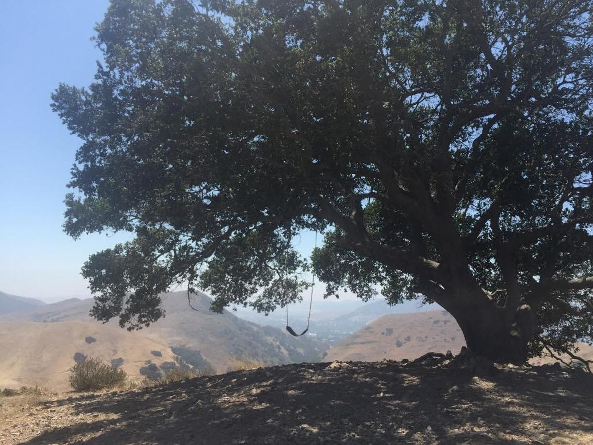 A view of the Serenity Swing hike in Poly Canyon.