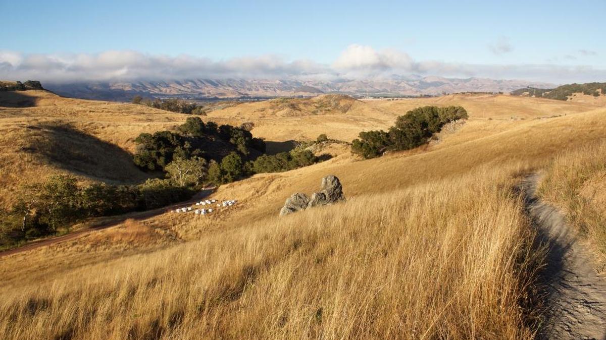 The city of San Luis Obispo purchased the Johnson Ranch Open Space in 2001 and the park, conveniently located off Highway 101, has been open and well maintained since 2009.