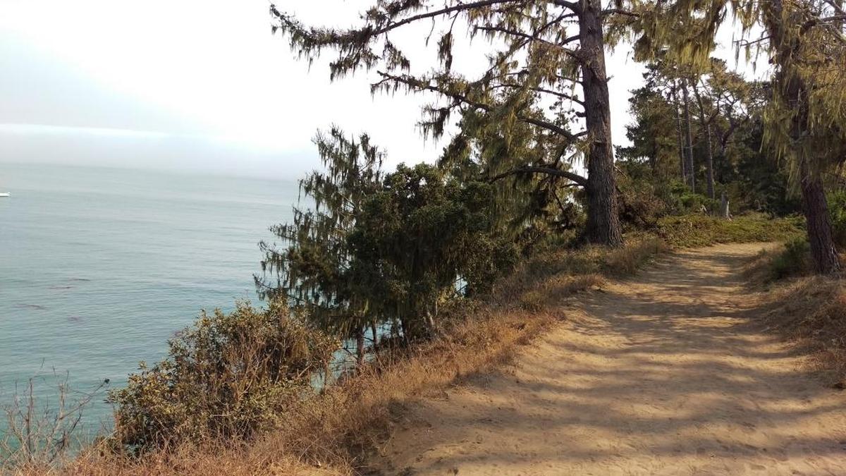 Hiking to San Simeon Point can add a little spice to a day at the beach. Bring a picnic, swimsuit or both, and spend some time exploring the landscape.