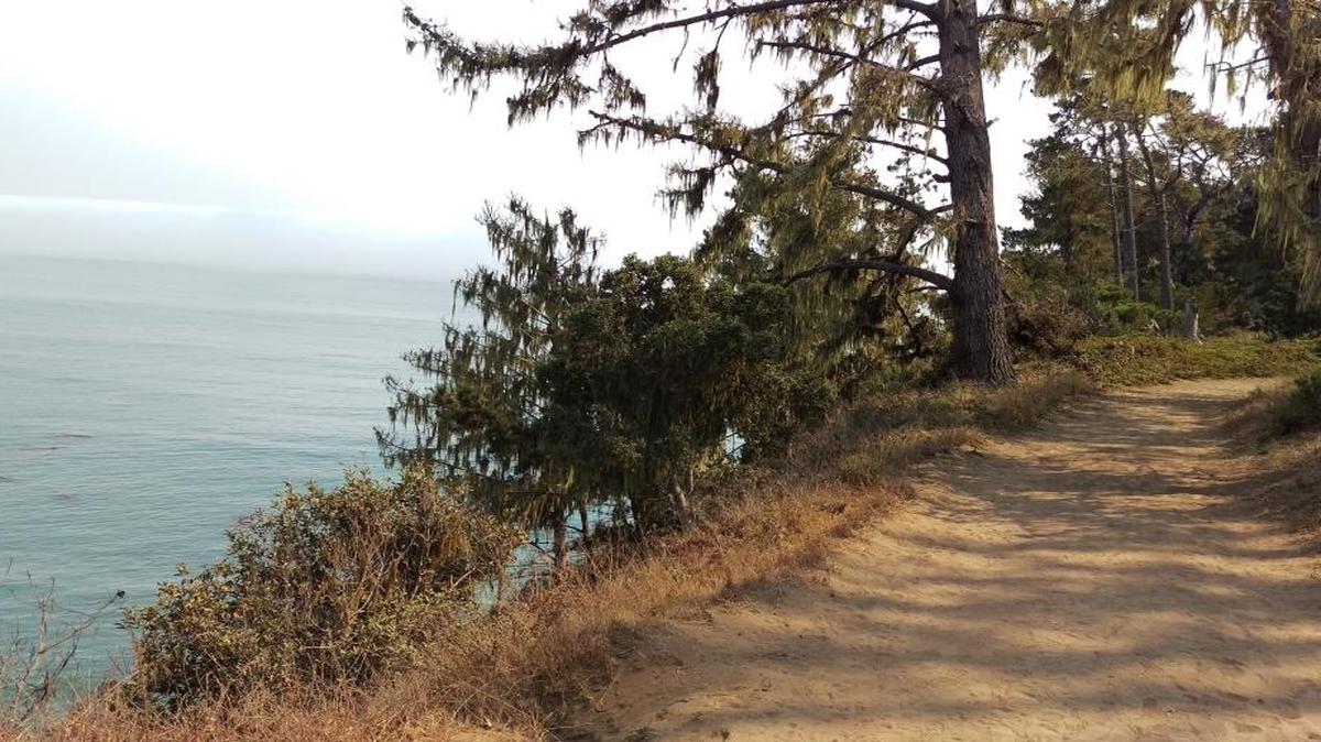 Hiking to San Simeon Point can add a little spice to a day at the beach. Bring a picnic, swimsuit or both, and spend some time exploring the landscape.