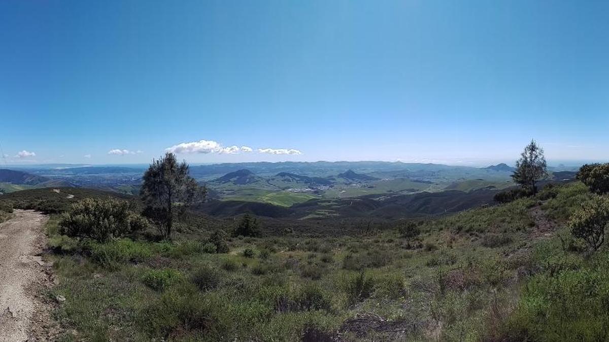 The top of the Cuesta Ridge Botanical Area hike offers sweeping views. Looking to the west, hikers can see from Pismo Beach to Morro Bay.